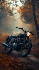 Solitary vintage motorcycle hums quietly through autumn fog