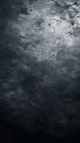 Dark textured surface shows irregular light dispersion patterns