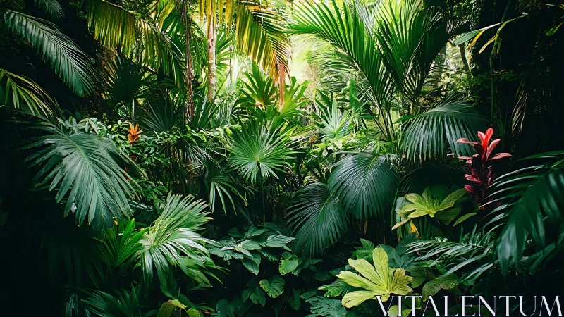 Vibrant Tropical Garden Bursting with Lush Green Paradise