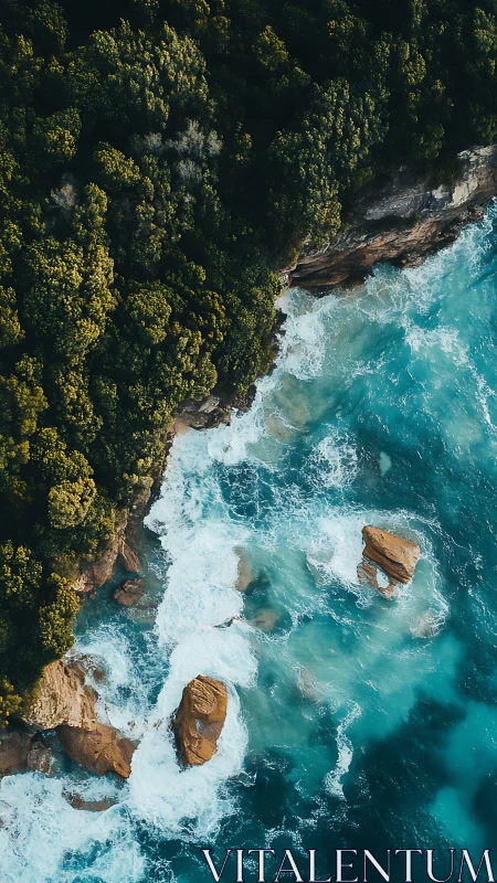 Steep forested cliff meets turquoise surf in dynamic aerial view