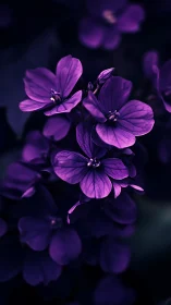 Vibrant Purple Flowers in Intimate Night Garden Light