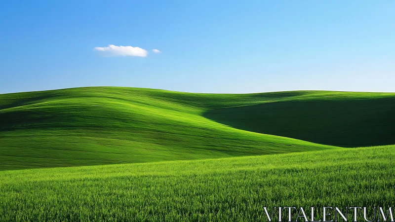 Undulating green hillside under clear blue sky with single cloud