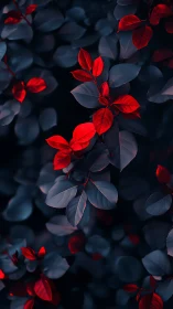 Scarlet leaves contrast against deep blue foliage at night