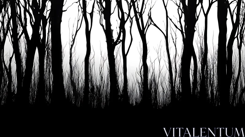 Stark forest silhouettes against high-contrast white sky.