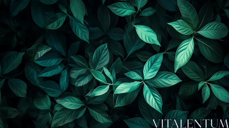 Luminous Foliage Study in Deep Emerald Tones, Digital Painting.