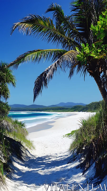 Tropical beach vista framed by palm vegetation under clear sky.