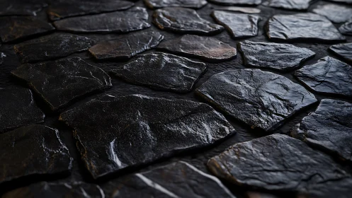 Glistening wet stone path quietly reflects soft, moody light