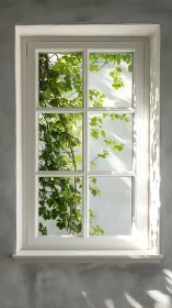 Rectangular white window frames exterior foliage view