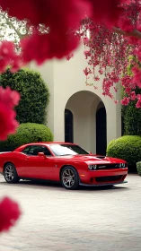Red muscle car shines amid blooming pink garden archway.