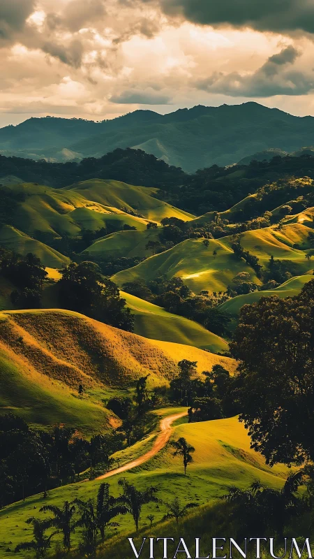 Golden hills roll gently toward distant misty mountains