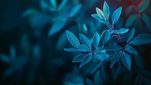 Moonlit teal leaves drifting through a silent forest hush.