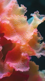 Macro view of textured coral-like organic surface structure.