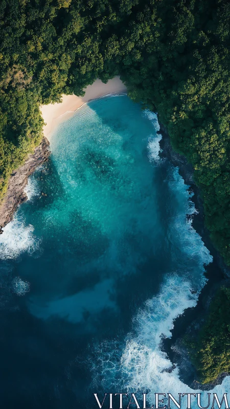 Emerald Embrace: Where Jungle Devours Paradise.