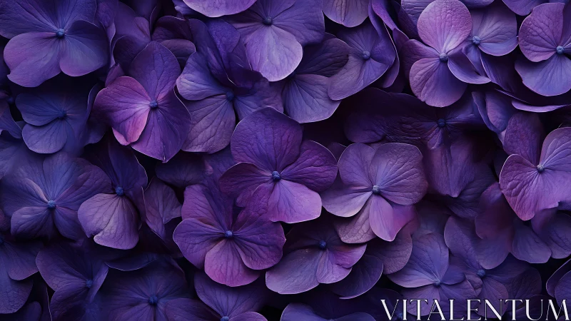 Purple Hydrangea Petals Layered in Dense Organic Composition.
