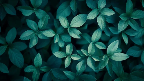 Teal-toned leafy foliage pattern under soft diffused light.