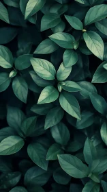 Leaflight geometry whispers through deep emerald silence