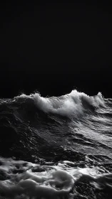Breaking ocean wave captured in high-contrast monochrome