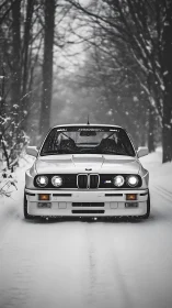 Classic BMW sports car stands poised on a snowy forest road.