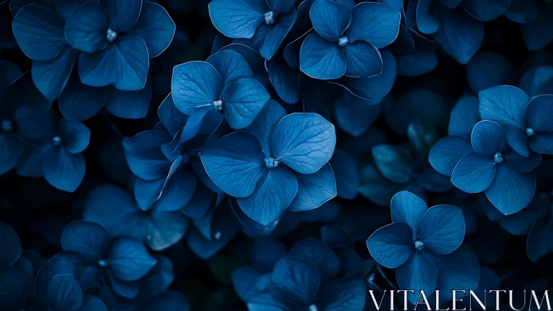 Blue hydrangea petals rendered with macro depth-of-field technique.