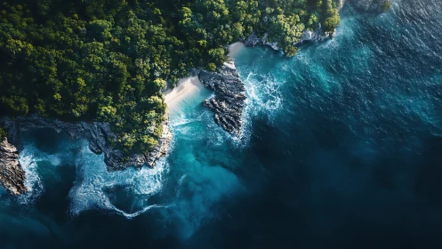 Jungle Sanctuary Meets Azure: Coastal Cliffs Reveal Nature's Hidden Embrace