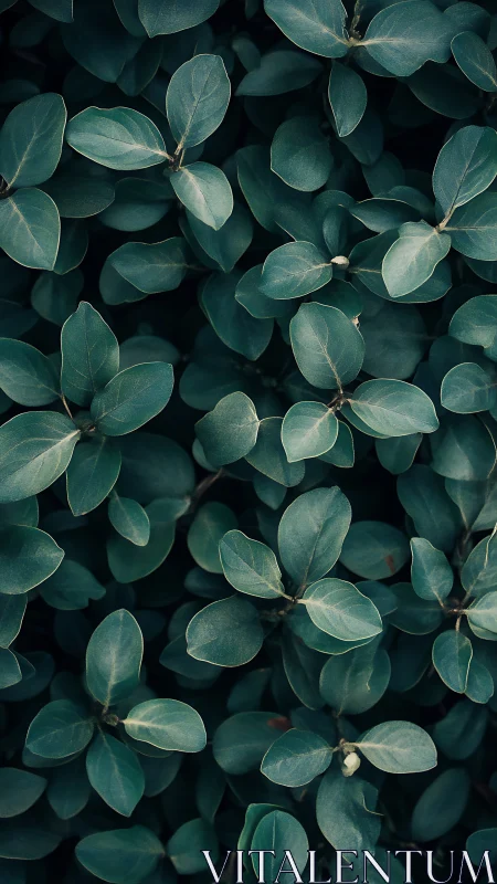 Soft green leaves create a peaceful, inviting natural pattern