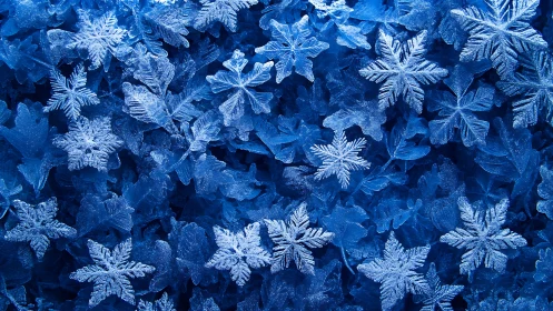 Macro study reveals crystalline geometry of layered snowflakes