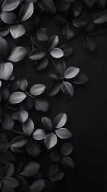 Monochrome foliage shows overlapping matte leaves on black