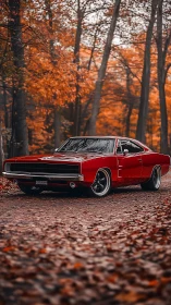 Crimson muscle car prowls softly through a copper forest lane