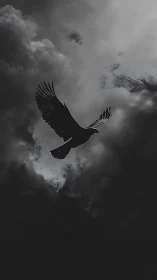 High-contrast raptor silhouette traversing turbulent storm cloud field.