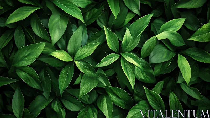 Lush green foliage forms a serene, immersive botanical pattern