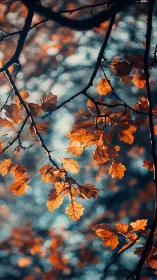 Soft autumn leaves glow gently against a dreamy forest sky