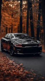 Midnight muscle car prowls through ember-lit autumn forest.
