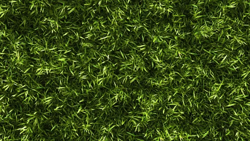 Sunlit wild grass tapestry woven in lush emerald whispers.