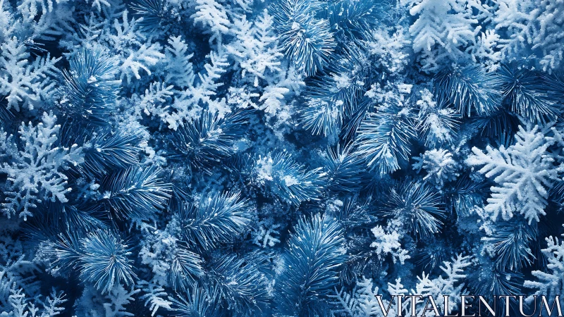 Frosted blue fir branches with crystalline snow textures.