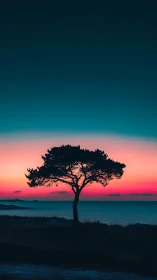 Lone coastal tree silhouettes against neon gradient sunset sky.