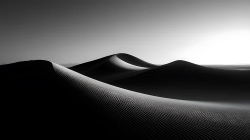 Monochrome desert dunes under stark backlit horizon.