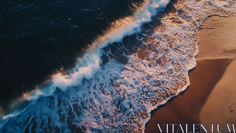 Breaking shoreline wave meets wet sand in evening light