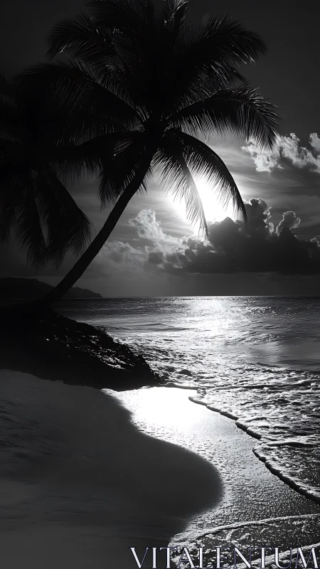 Moonlit palm silhouette over serene black and white shore.