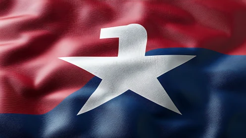 Red and blue flag with stylized white star and bird emblem.
