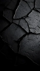 Dark cracked surface texture shows irregular fractured plates