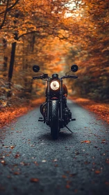 Lone road rebel idles beneath a roaring tunnel of autumn