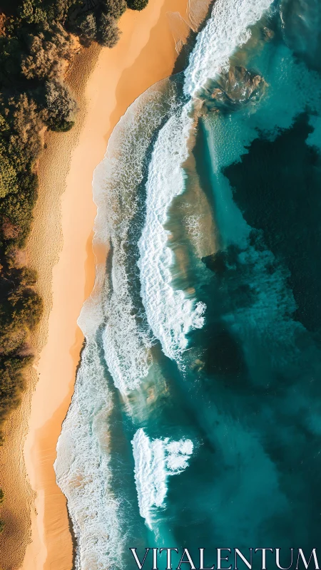 Sunlit turquoise waves roll onto a secluded golden shoreline