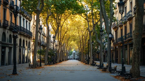 Tree-lined European boulevard with historic urban buildings.