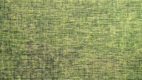 Threaded moss light weaves a buzzing grid of quiet chaos
