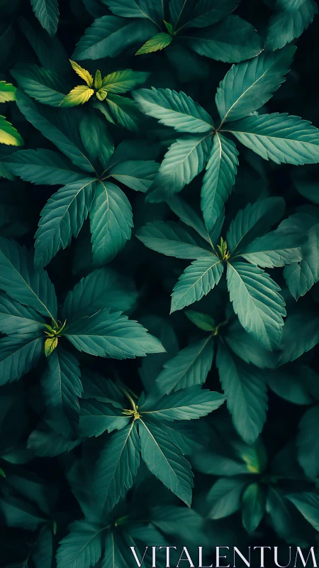 Gentle emerald leaves with a single bright spring accent.