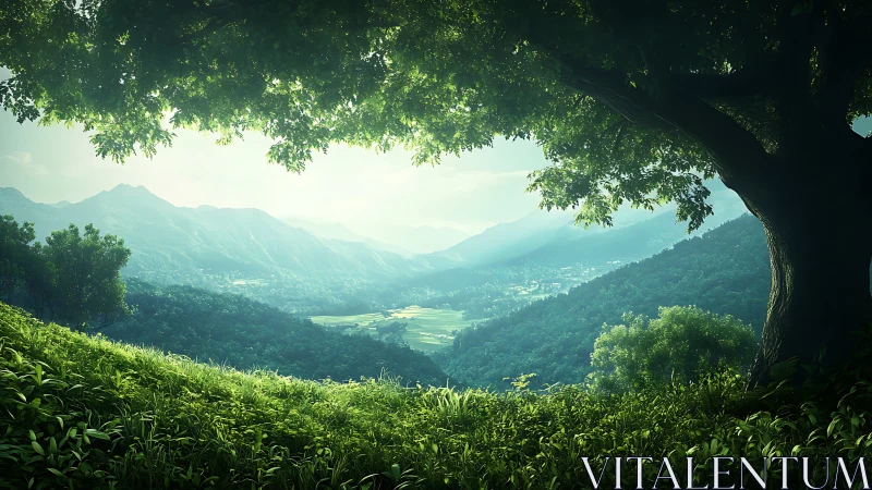 Emerald Cathedral: Mountains Frame Verdant Valley Below.