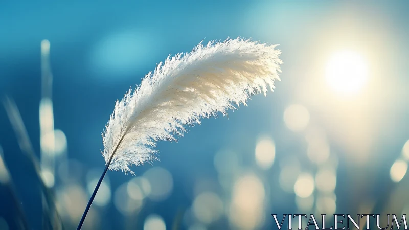 Sun-kissed plume drifting through a blue hush of light.