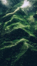 Terraced green hills and forest observed from elevated viewpoint