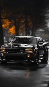Black performance sedan on wet street at dusk in autumn.