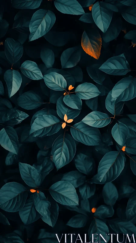 Embers of orange quietly spark through midnight leaves